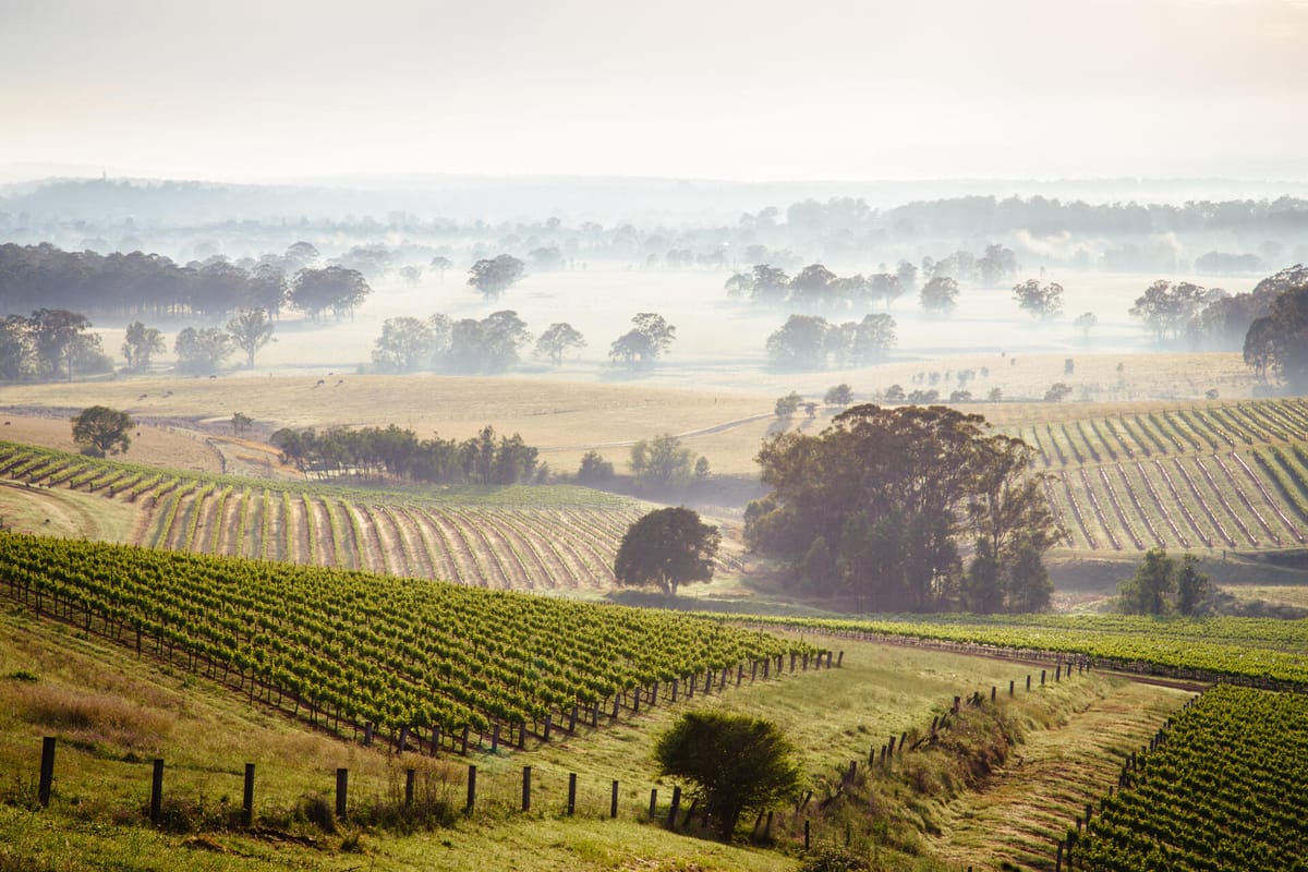 Things to do in Hunter Valley 2024 Pelago by Singapore Airlines