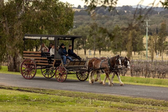 3-hour-wine-and-harvest-the-hunter-horse-tour-in-pokolbin_1