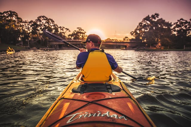 adelaide-city-kayak-tour-australia-pelago0.jpg