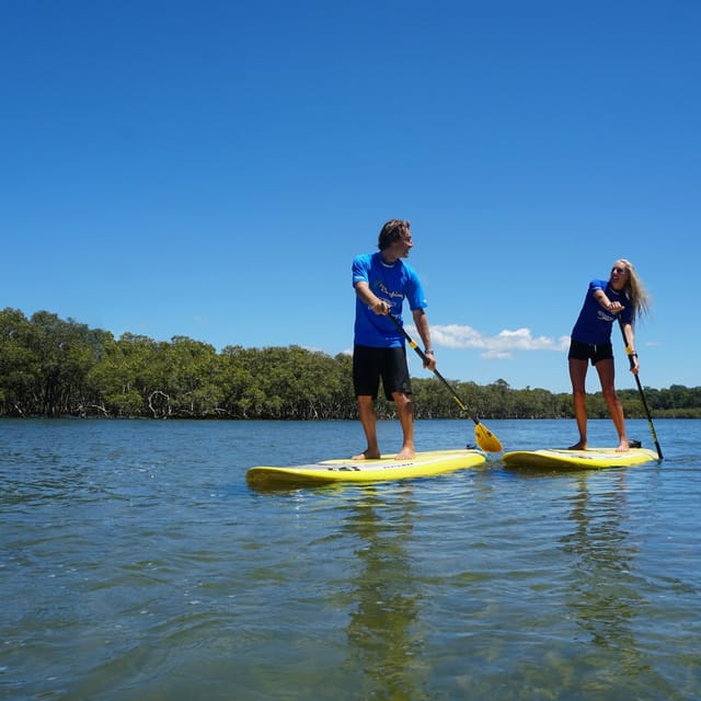 Best things to do in Byron Bay 2024  Attractions & activities - Klook  Canada