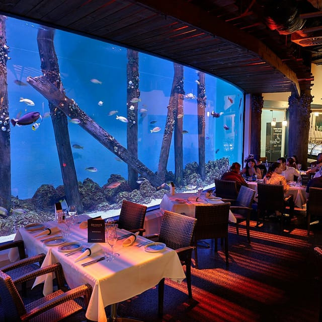 cairns-aquarium-by-twilight-with-dinner_1
