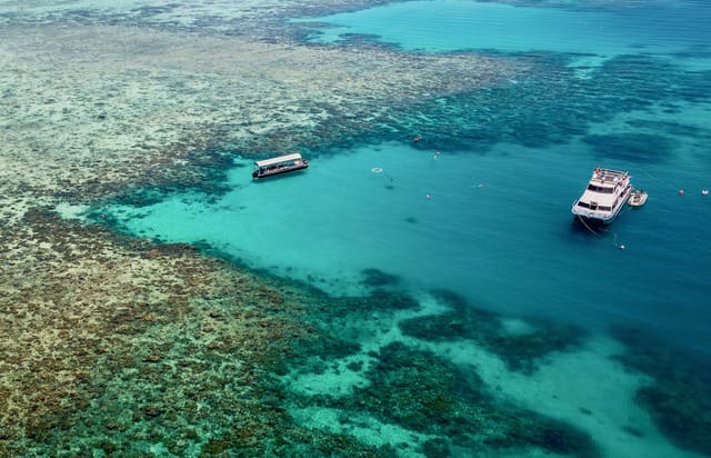 great-barrier-reef-upolu-cay-australia-pelago01.jpg