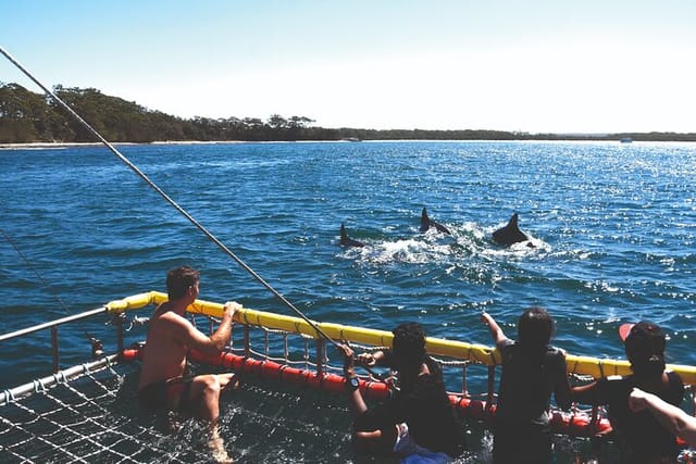 jervis-bay-boom-netting-and-dolphins-tour_1