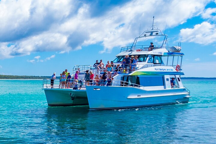 Jervis Bay Whale Watching Tour in Jervis Bay | Pelago