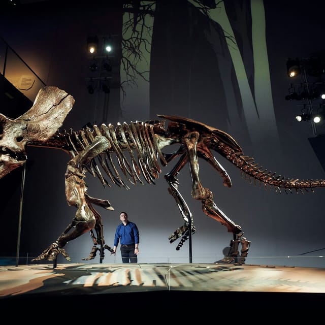 melbourne-museum-home-of-dinosaurs-guided-tour_1