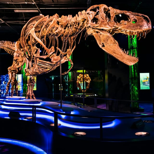 melbourne-museum-skip-the-line-ticket-for-victoria-the-t-rex_1