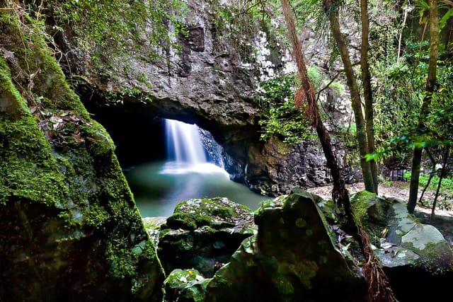 natural-bridge-springbrook-waterfalls-tour_1