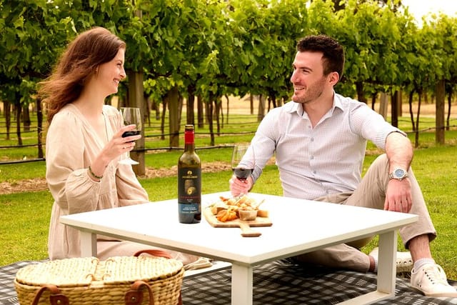 picnic-and-wine-tasting-experience-in-the-barossa-valley_1
