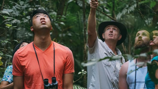 Tourists on a nature walk in the Wet Tropics Rainforest National Park | Rainforest and Nocturnal Wildlife Spotting Tour | Cairns | Australia | Pelago