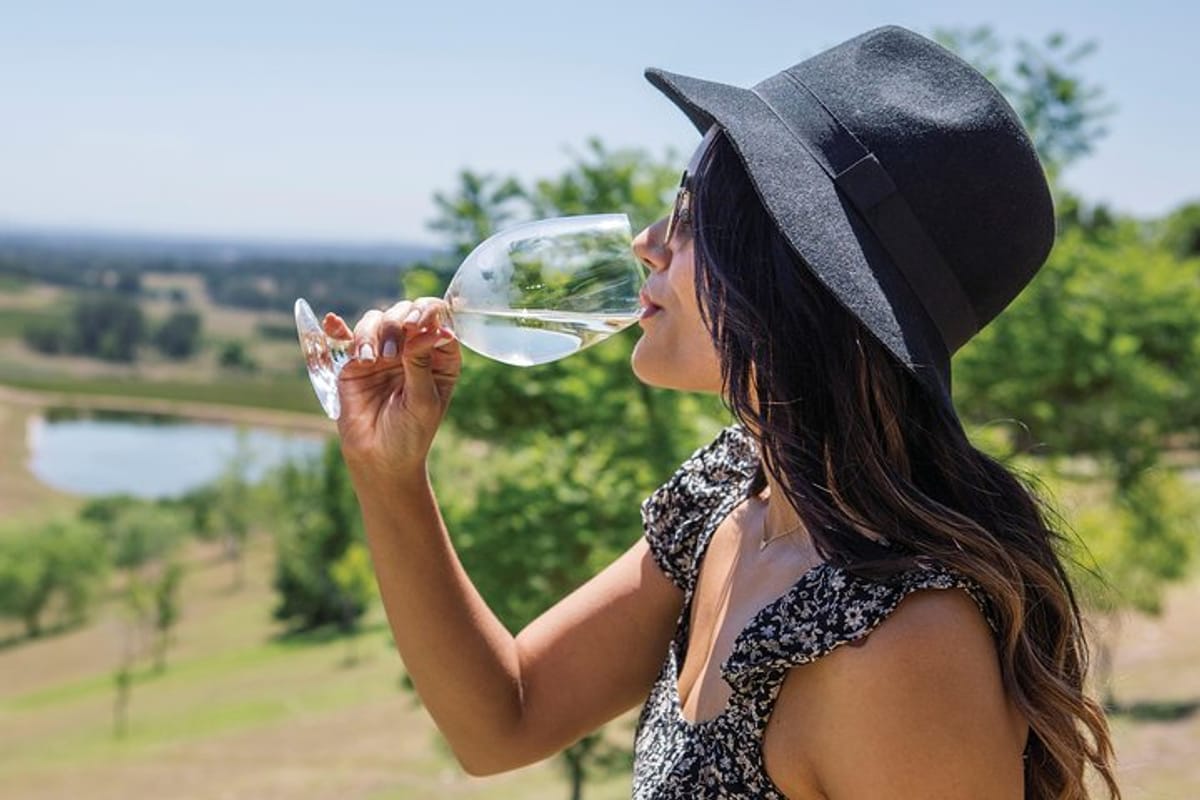 Relax and re-wind as you sample wine in the Hunter Valley