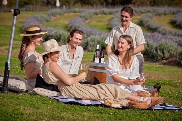 sirromet-winery-tour-picnic-in-the-paddock-australia-pelago0.jpg