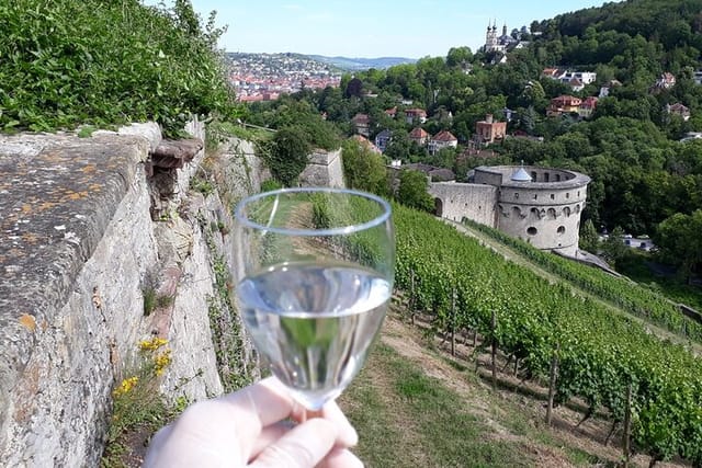 Vineyard rally with tasting at Marienberg Fortress