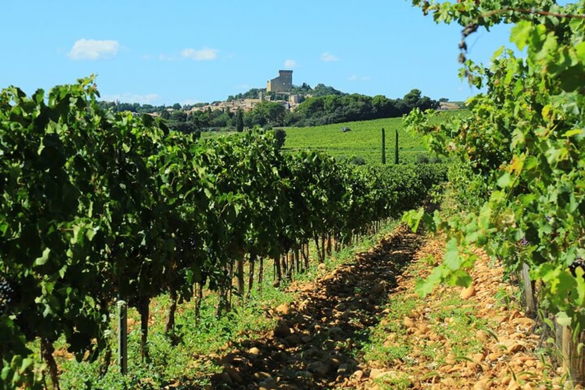 8-hours-private-wine-tour-in-chateauneuf-du-pape_1
