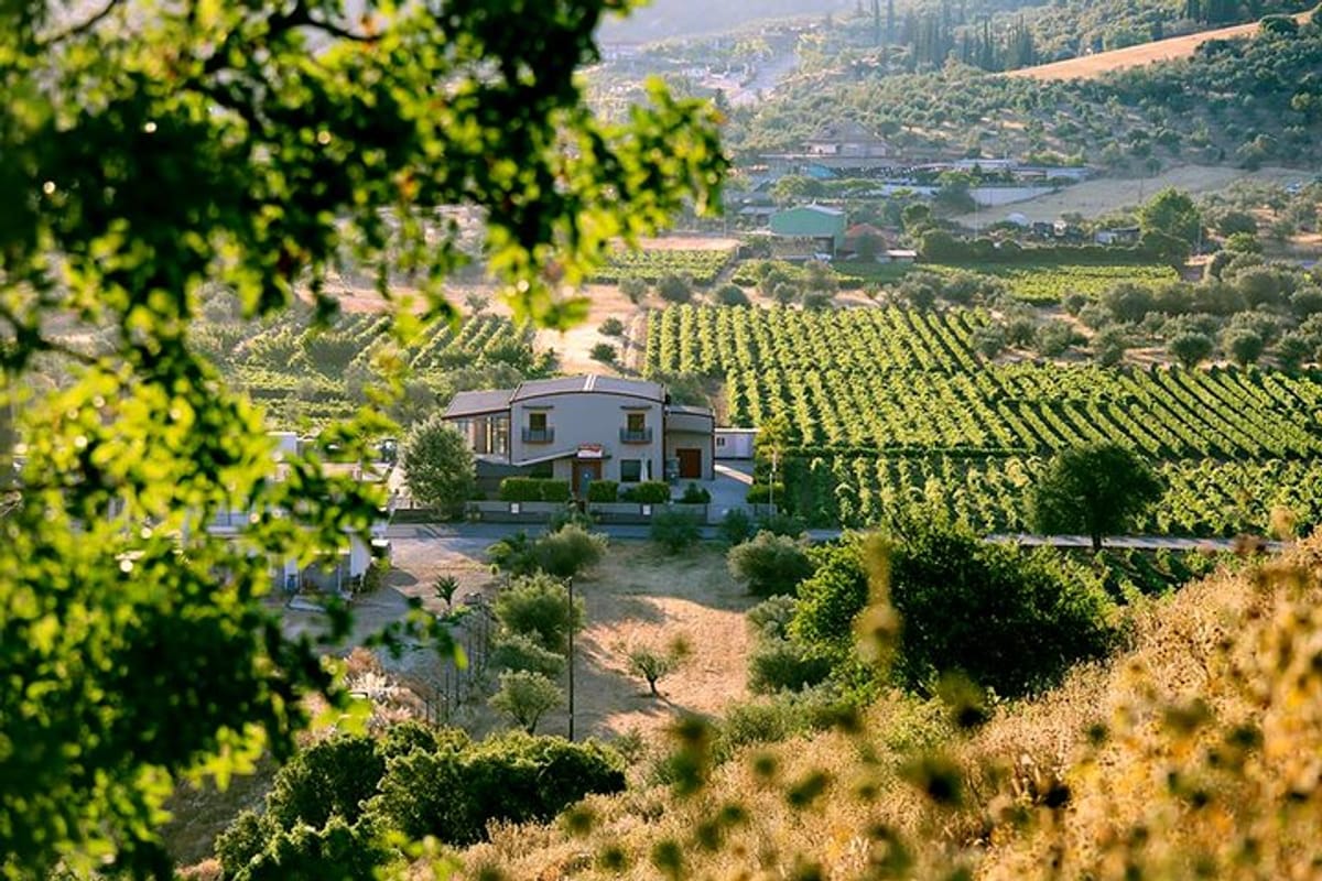 best-peloponnese-wine-roads-tour-with-ancient-nemae_1