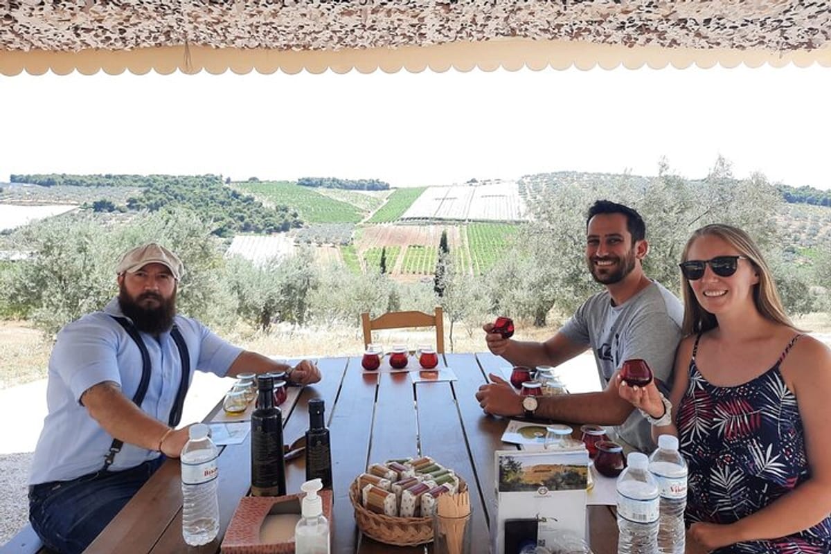 olive-grove-and-winery-excursion-from-athens_1