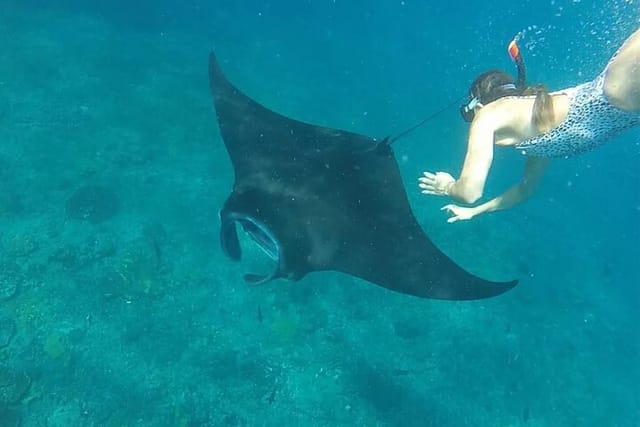 2-day-tour-and-snorkel-to-meet-manta-rays-in-nusa-penida_1
