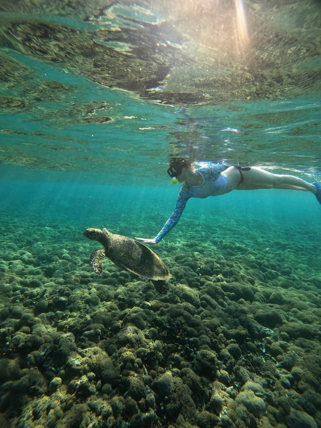 4-hour-snorkeling-by-glass-bottom-boat-in-the-gili-islands_1