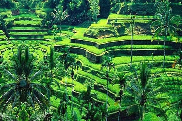 bali-customizable-4-days-private-tours-visiting-all-scenic-spots_1