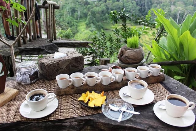 Bali Coffee Plantation Kintamani