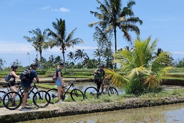 from-ubud-electric-bike-bali-countryside-ubud-tegalalang_1