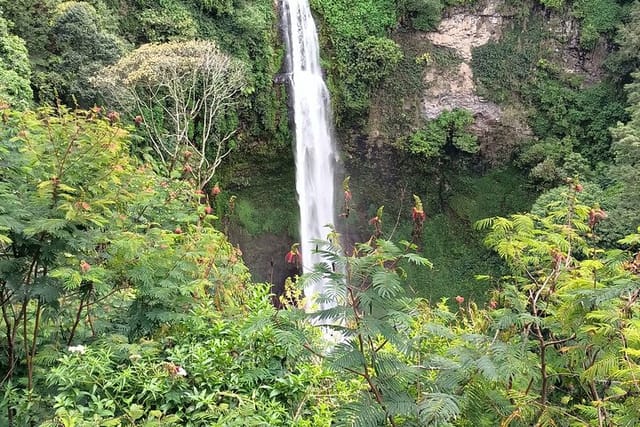 jakarta-bogor-botanical-garden-waterfall-and-rice-terrace-lunch_1