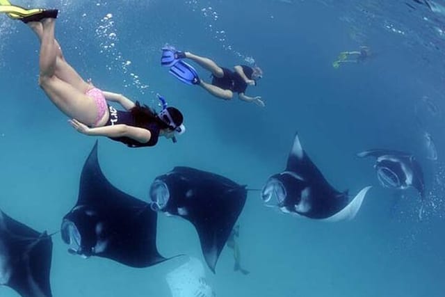 nusa-penida-snorkeling-tour-with-manta-rays_1