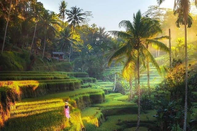 From rice terrace its so nice to see sunrise