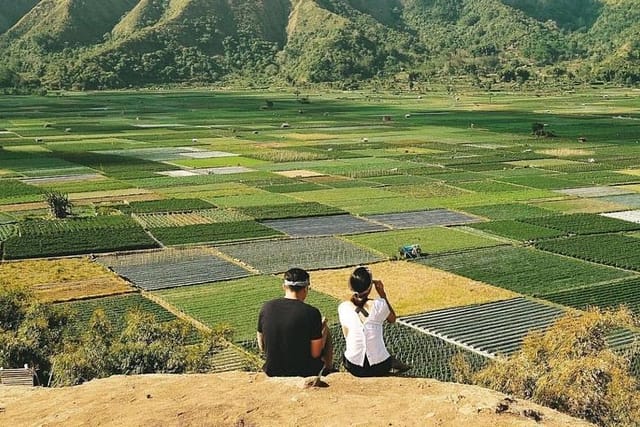 sembalun-package-special-rice-terrace-view_1