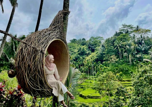 tegalalang-rice-terrace-guided-photos-tour-jungle-swing-ubud-indonesia-pelago0.jpg