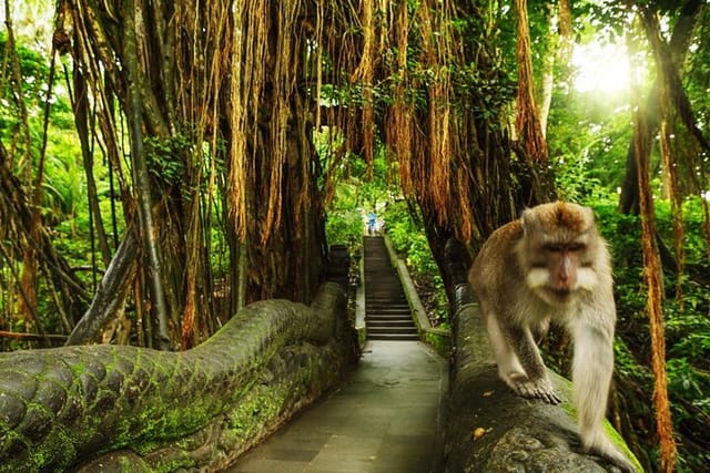 ubud-skip-the-line-monkey-forest-sanctuary-ticket-and-guided-tour_1