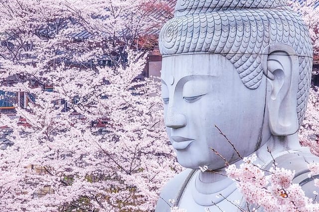 cherry-blossom-buddha-and-mt-yoshino-with-strawberry-picking-tour_1