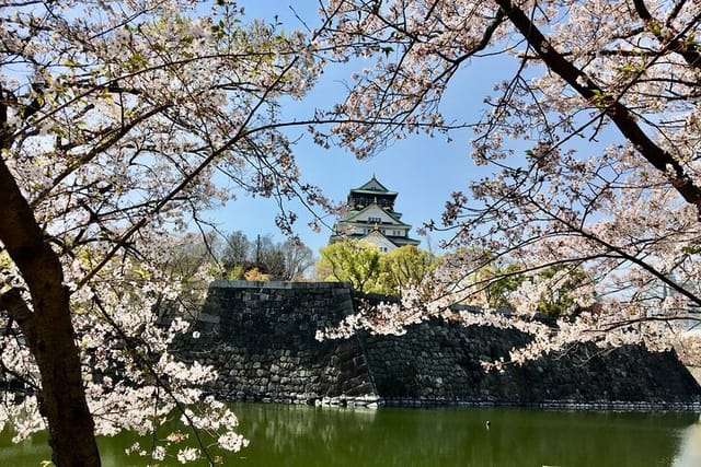 half-day-private-guided-tour-to-osaka-castle_1