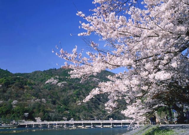 0508-0241_kyoto-nara-tour-arashiyama-kinkakuji-temple-nara-park-japan-pelago0.jpg