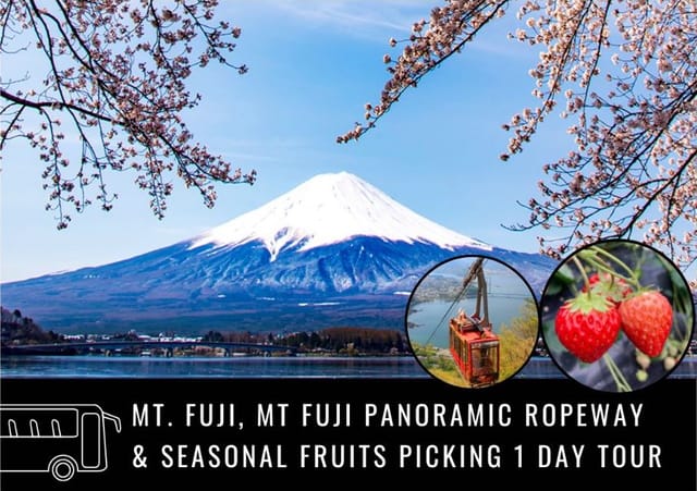 0502-0251_mount-fuji-panoramic-ropeway-fruit-picking-tour-japan-pelago0.jpg