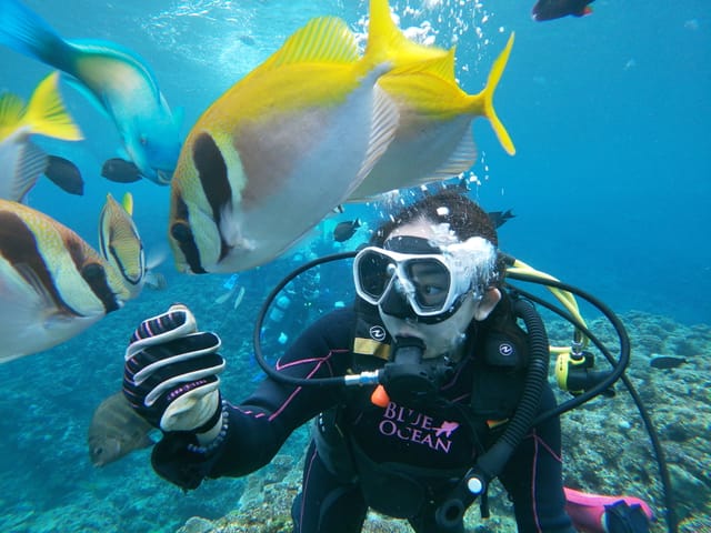 okinawa-diving-experience-seven-oceans-club-japan-pelago0.jpg