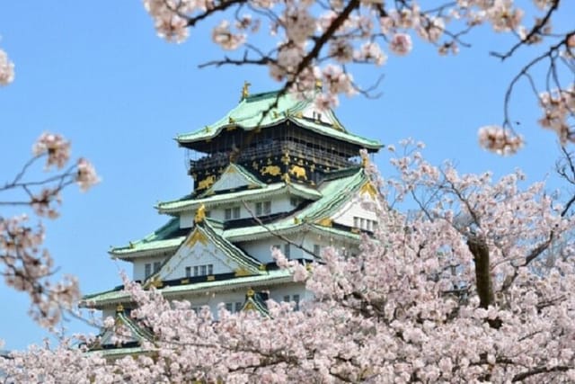 osaka-and-kyoto-stunning-cherry-blossoms-and-sakura-cruise-tour_1