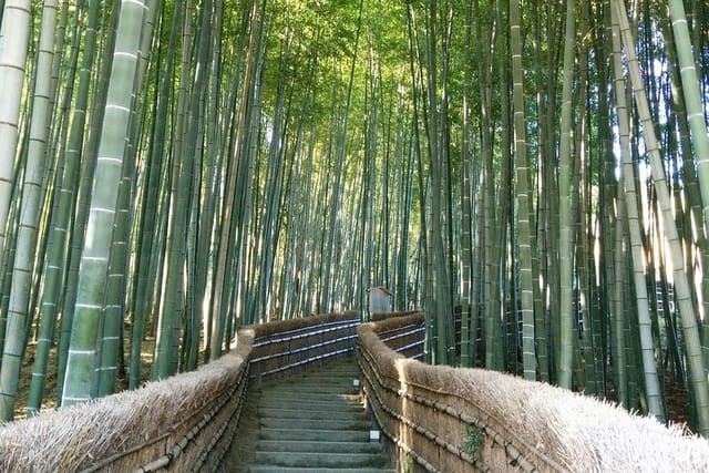 Bamboo grove (Northwest-bound course)