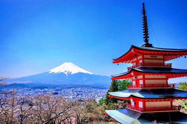 private-mount-fuji-and-hakone-tour-with-english-guide_1