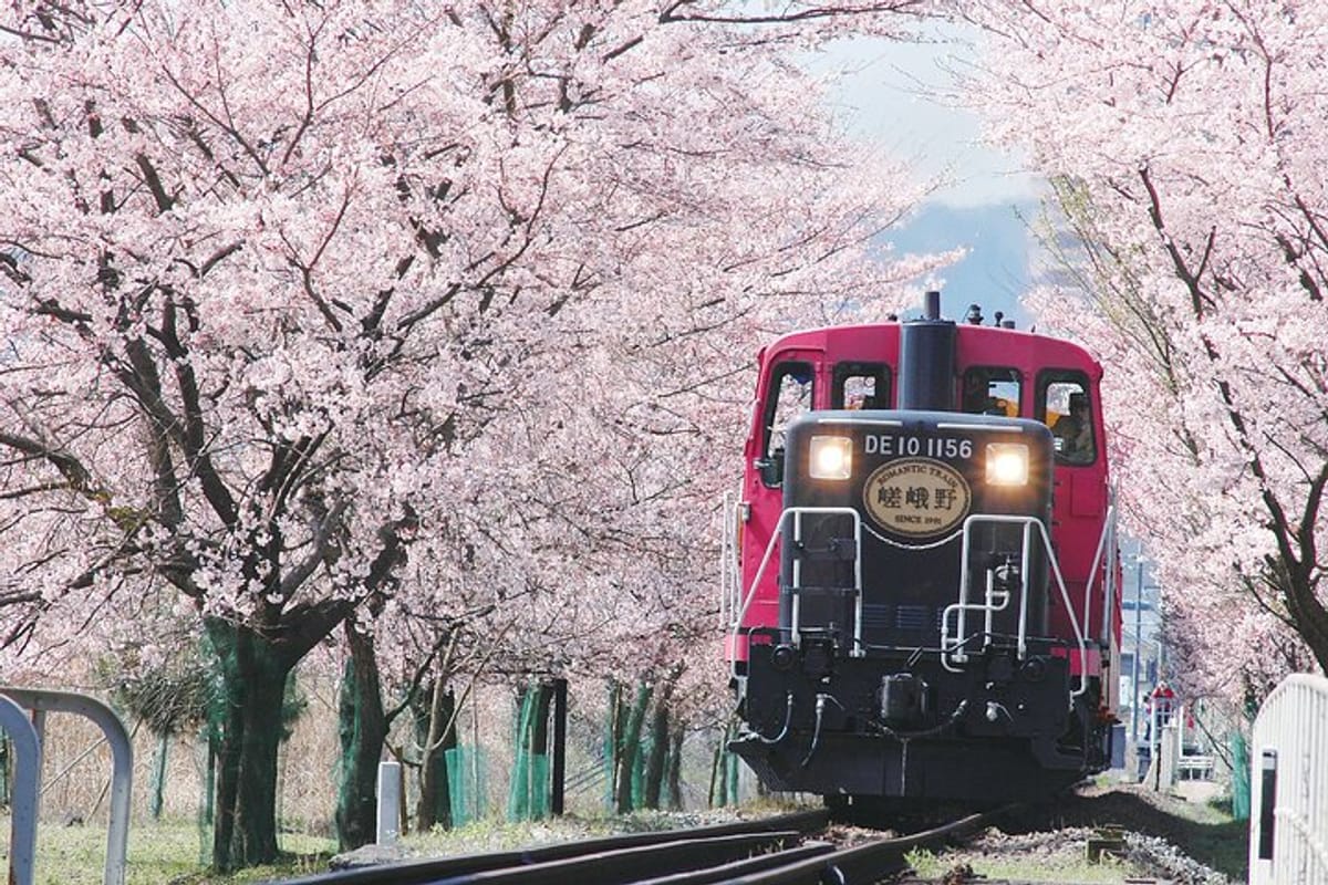 sagano-romantic-train-arashiyama-kiyomizudera-fushimi-inari-taisha-day-tour_1