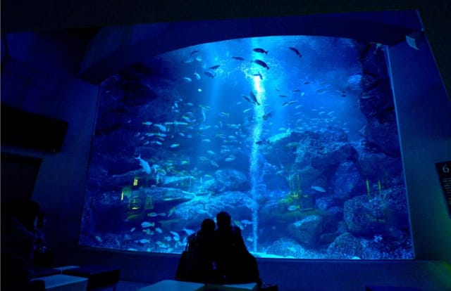 sumida-aquarium-admission-ticket-japan-pelago0.jpg
