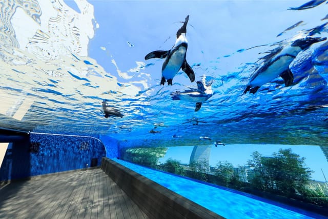 sunshine-aquarium-japan-pelago0.jpg