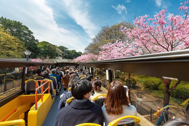 tokyo-70-min-open-top-sightseeing-bus-ride-bay-course-city-course_1