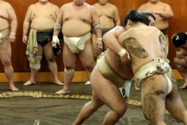 watch-sumo-training-in-sumo-stable_1