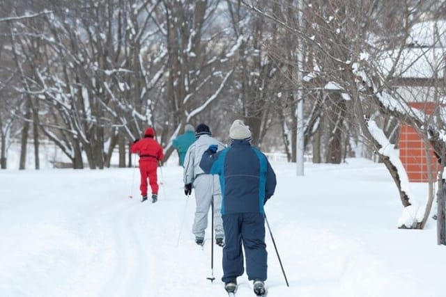 winter-animal-watching-tour-with-cross-country-skiing_1