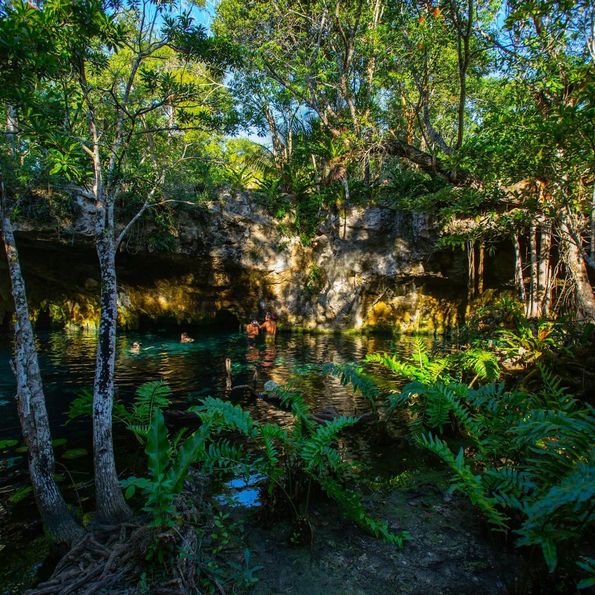 tulum-2-cenotes-trail-bike-tour-lunch_1