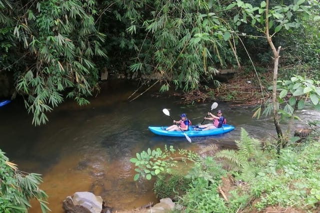 semenggoh-orangutan-with-rainforest-kayaking-from-kuching_1