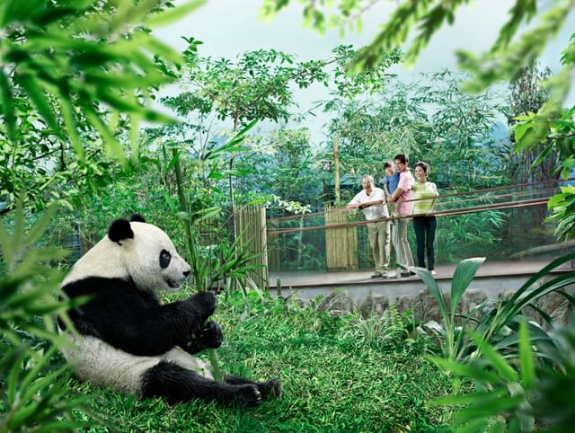 two-in-one-park-admission-singapore-zoo-river-wonders-pelago0