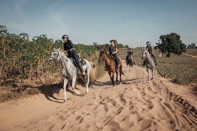 2-hours-scenic-horse-trail-riding-in-pattaya-thailand_1