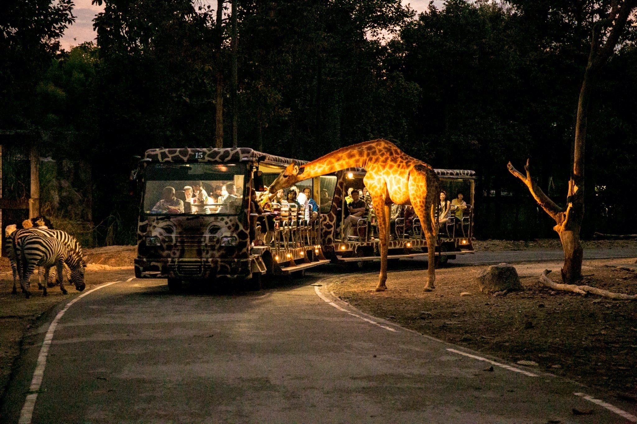 night safari indonesia