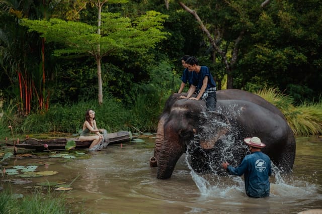 elephants-mong-chang-cafe-thailand-pelago0.jpg